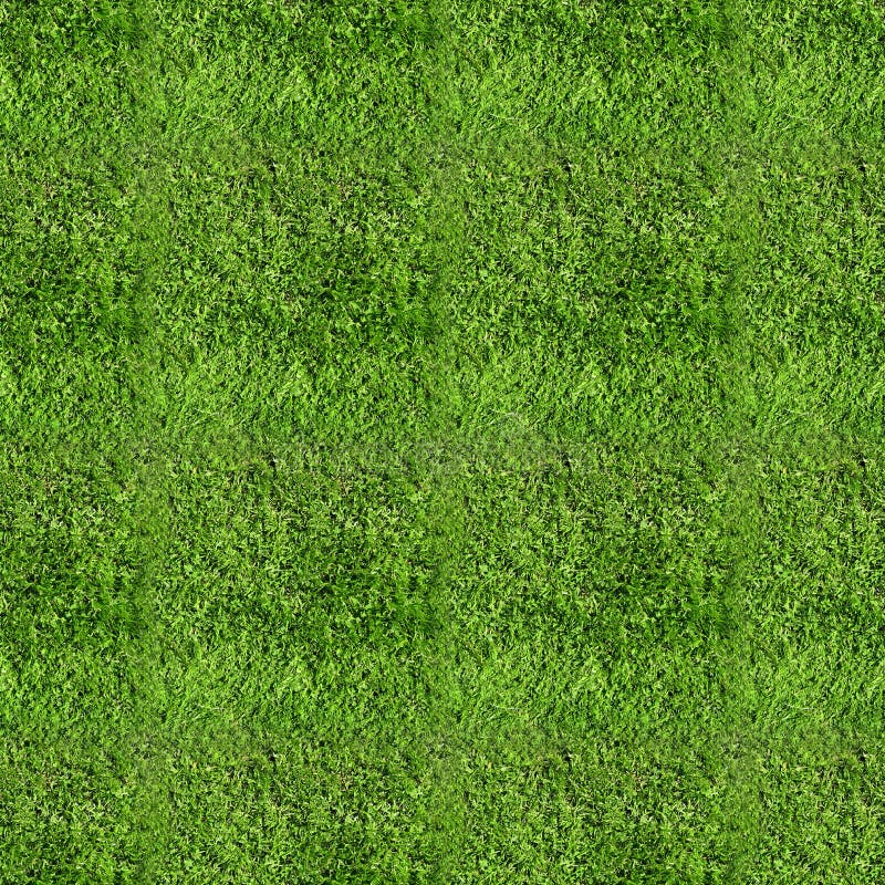 Texture of grass field, useful for gardens, playgrounds, sport and stadium fields etc. Texture of grass field, useful for gardens, playgrounds, sport and stadium fields etc