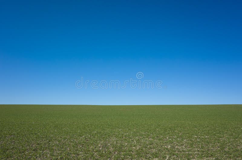 Green grass field under blue sky with straight horizon, Countryside near Vasteras, Sweden photo