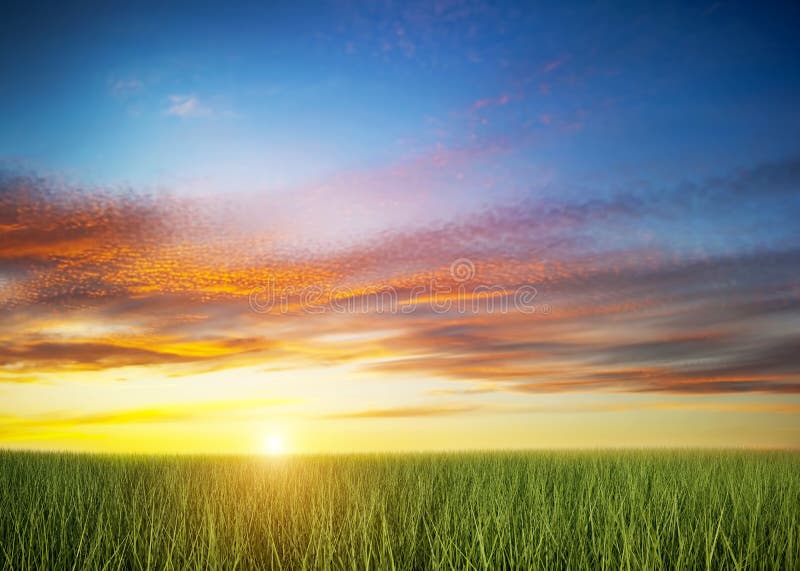 Green grass field under colorful sunset sky.