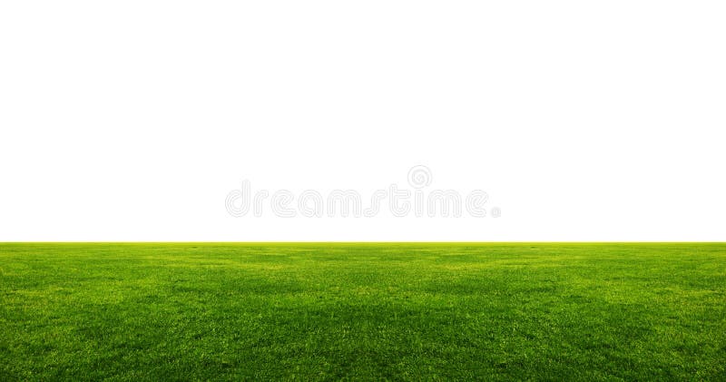 Green grass field with white copyspace