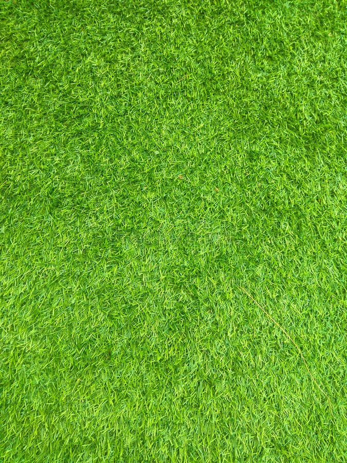 Green grass floor texture stock image. Image of floor 138868661