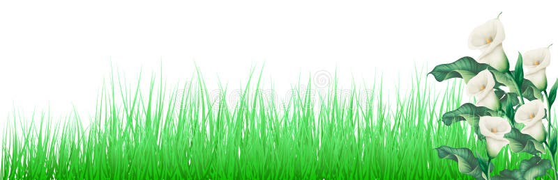 Green Grass And Flowers illustration. Can use as Web Footer, Header and Banner. stock illustration Green Grass And Flowers illustration. Can use as Web Footer, Header and Banner. stock illustration