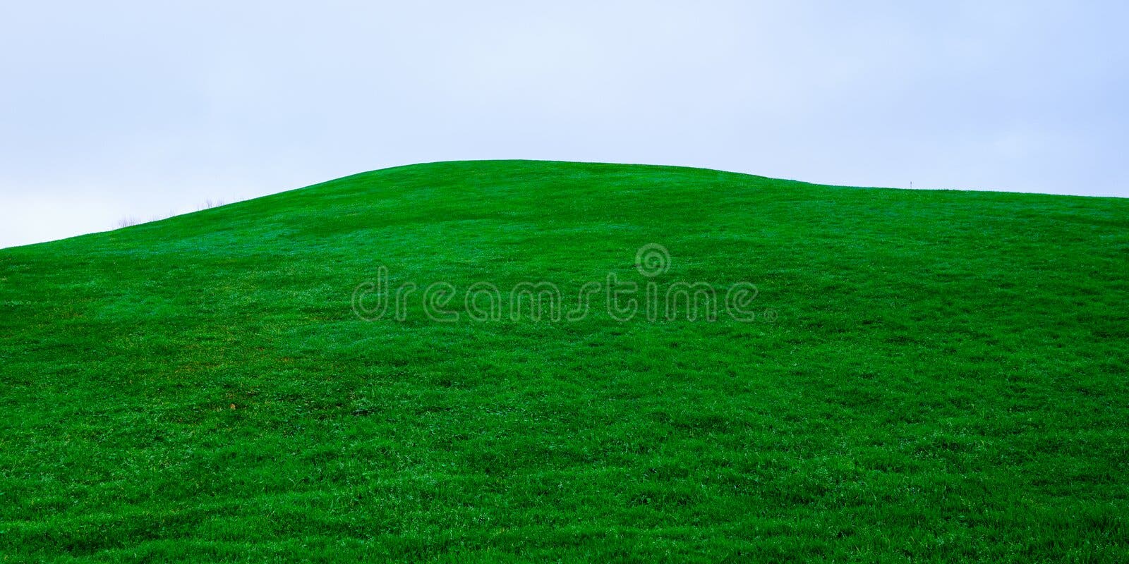 Grass Hill Images – Browse 2,457,500 Stock Photos, Vectors, and Video