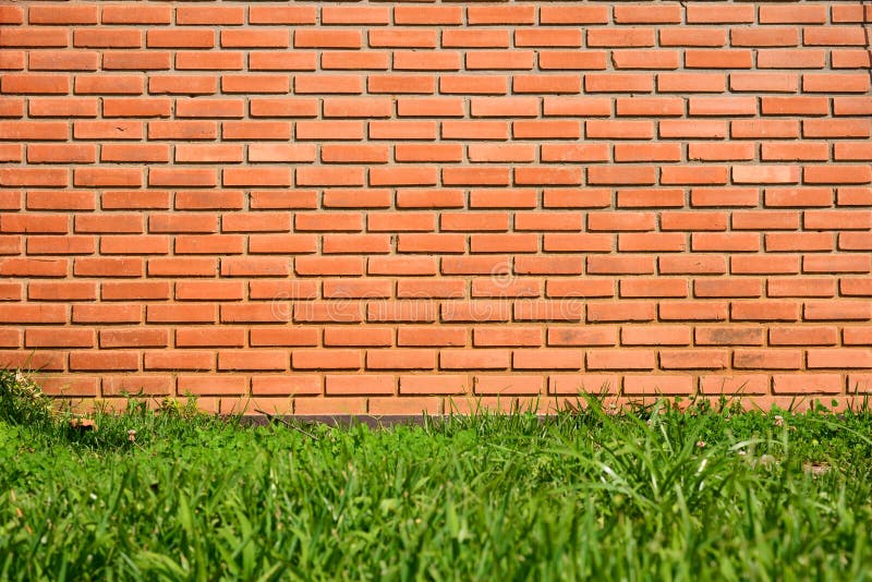 Green Grass In Front Of Red Brick Wall Texture Background ...