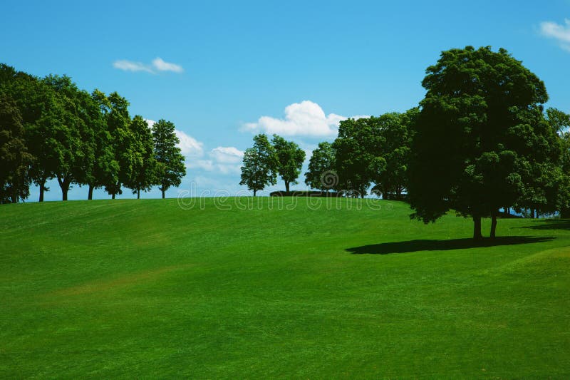 Green grass on a golf field royalty free stock images