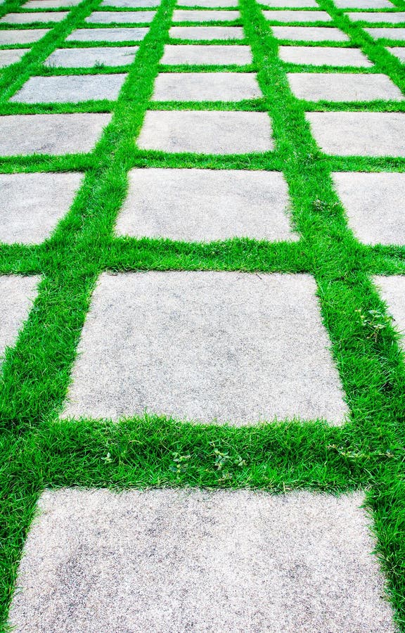 Green grass growth between cement walkway stock photography