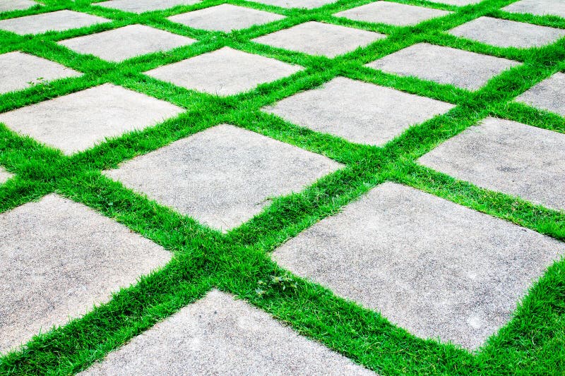 Green grass growth between cement walkway stock images