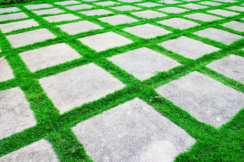 Green grass growth between cement walkway stock photo