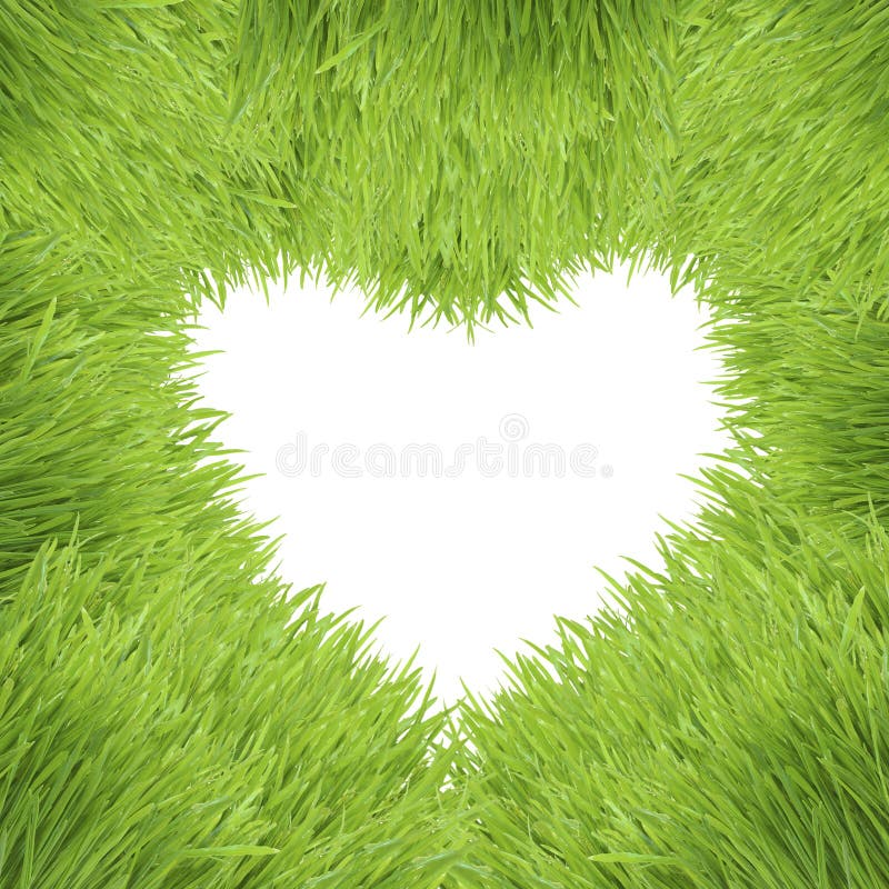 Green grass heart frame isolated on white royalty free stock photography Green grass heart frame isolated on white royalty free stock photography