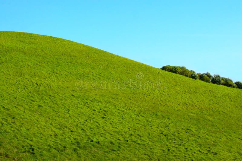 Green Hill Grass Texture