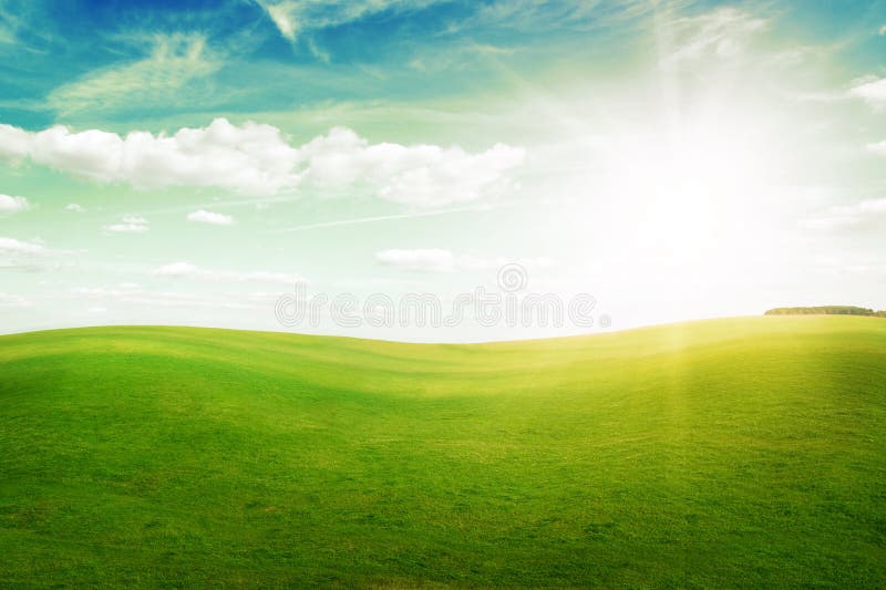 Green grass hills under midday sun in blue sky.