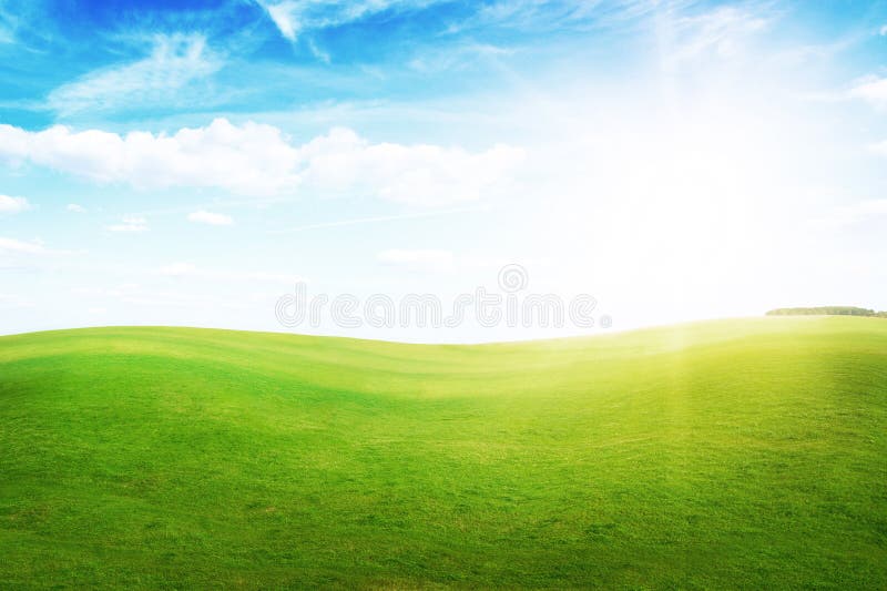 Green grass hills under midday sun in blue sky.