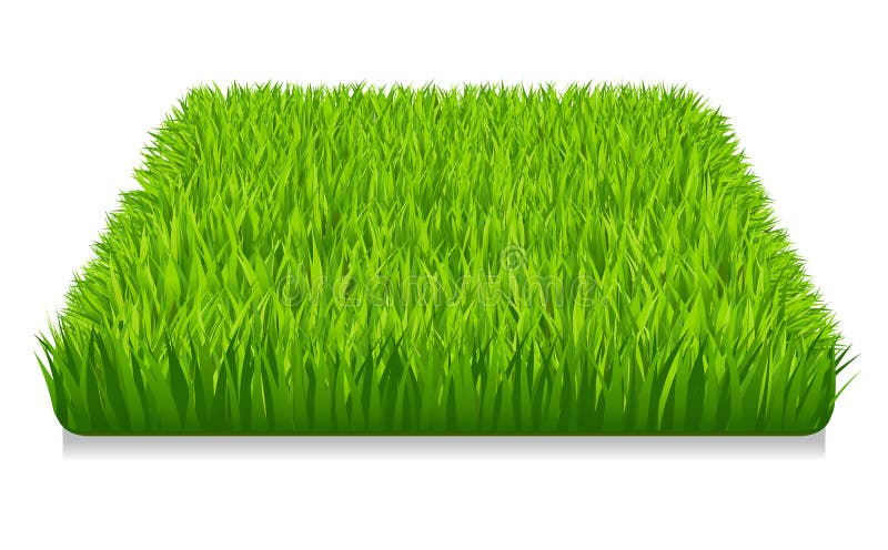 Illustration of green grass icon