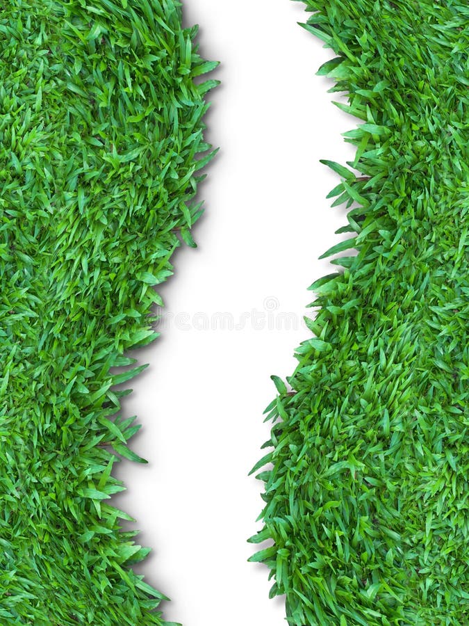 Green grass isolated