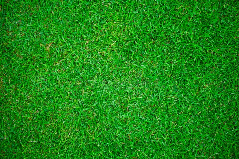 Mặt nền cỏ xanh (green grass lawn background): Sử dụng mặt nền cỏ xanh tươi mát để tạo không gian làm việc hay trang trí cho thiết bị điện tử của bạn. Cảm nhận sự rộng lượng và tràn đầy năng lượng từ cảnh vật này.