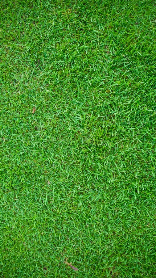 Green Grass Lawn Background And Texture For Wallpaper And Presentation Stock Image Image Of 