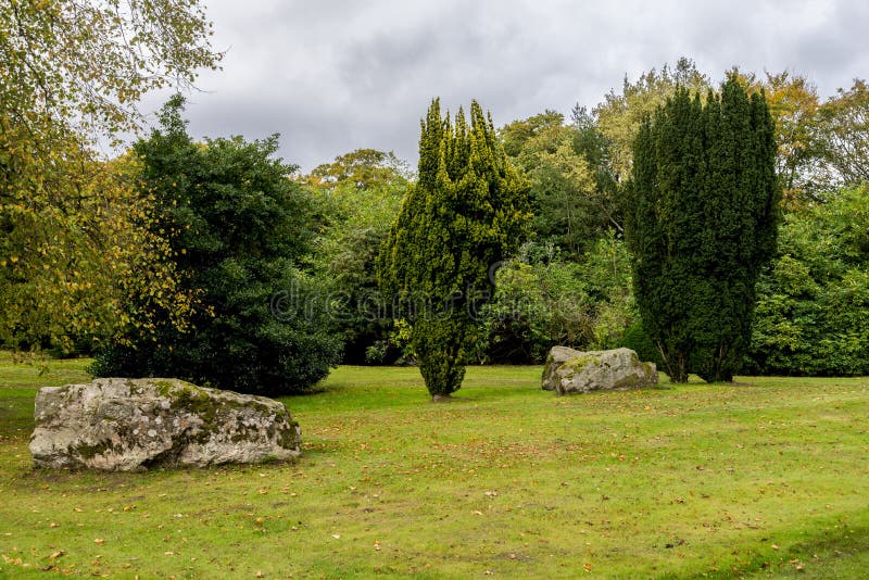 Green grass lawn with fallen yellow leaves in autumn season, Hazlehead park, Aberdeen, Scotland