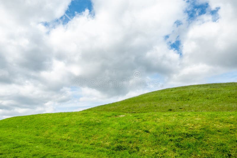 Green Grass Meadow Background in Ireland Stock Image Image of weather