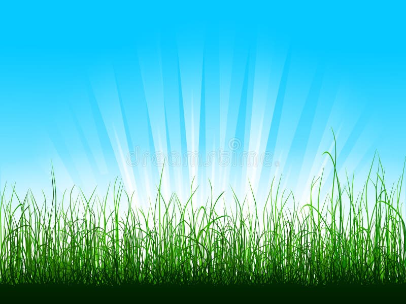 Green grass over blue sky