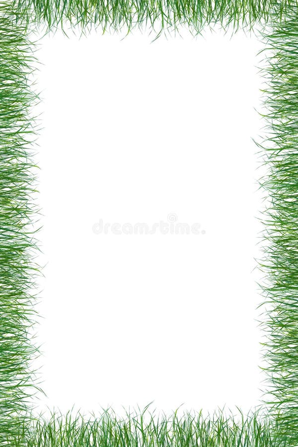 Green grass paper summer background