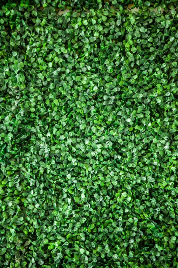 Green grass of plastic leaves wall texture for background