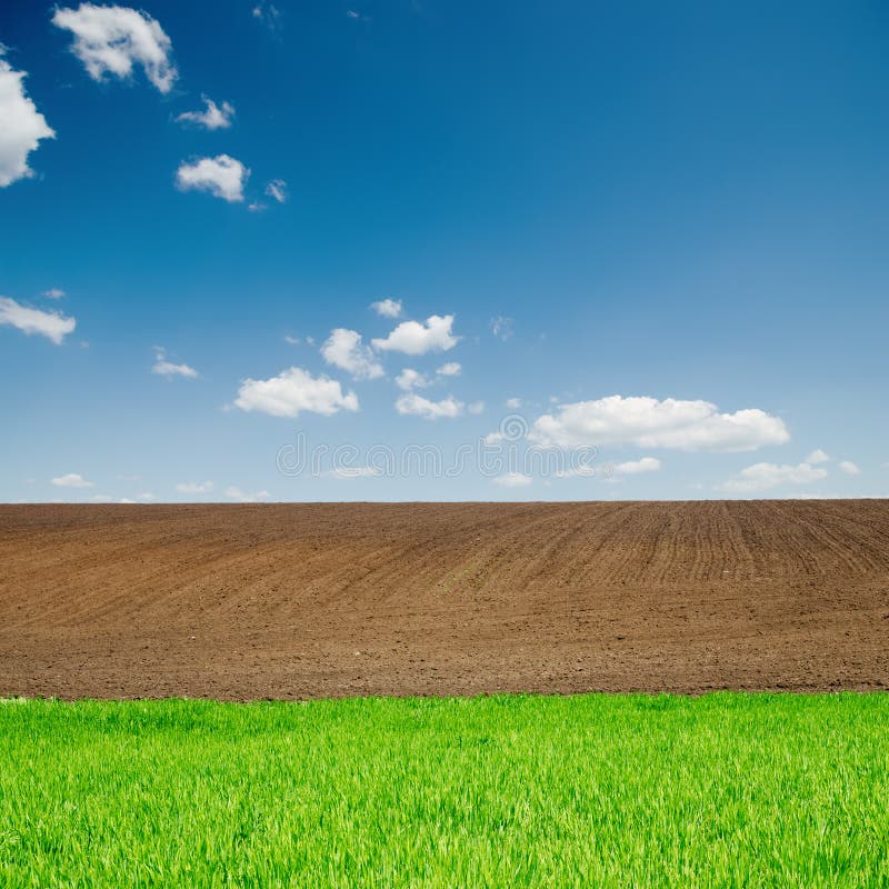 Green grass and plowed fields under blue sky stock image