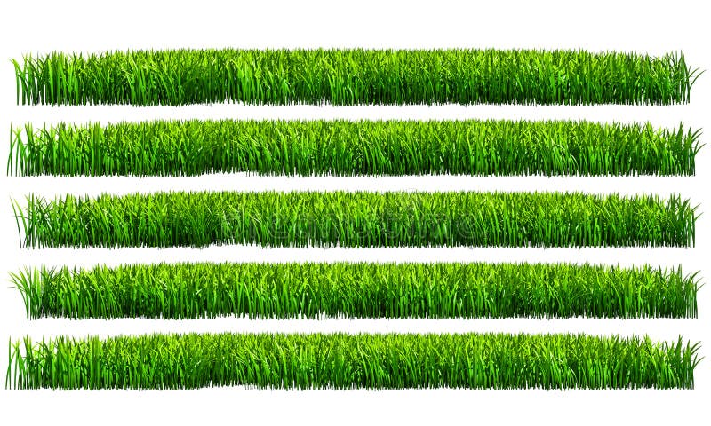 Green Grass, PNG Transparent Background Stock Image - Illustration of grass,  spring: 40600043