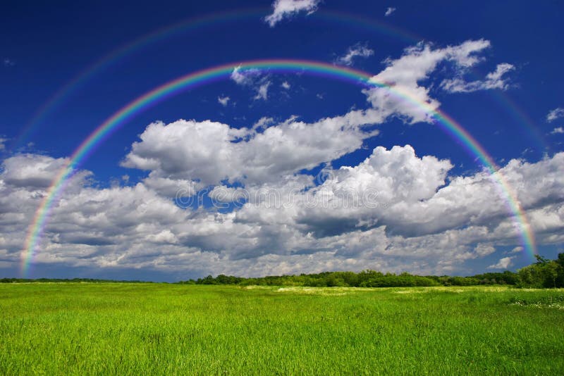 L'erba verde del campo con arcobaleno sullo sfondo.