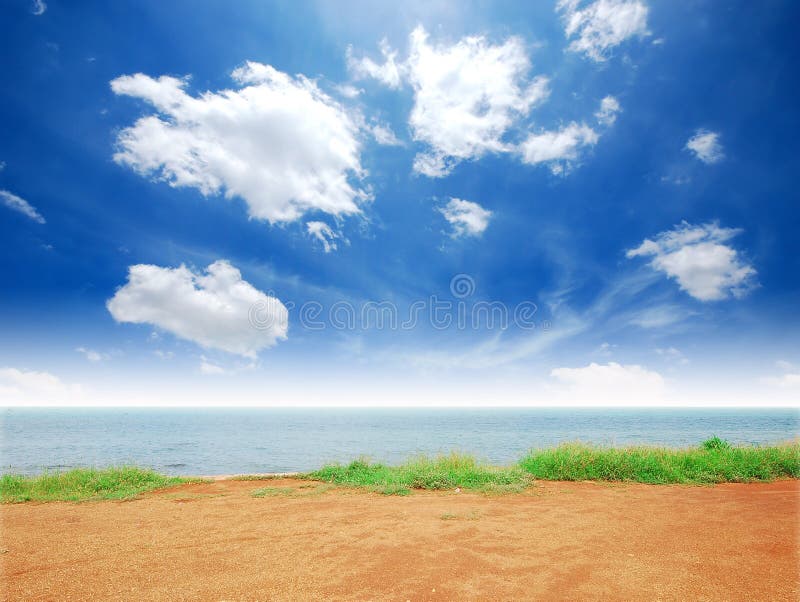 Green Grass Sea Sand Sun Beach Stock Image Image of background, coast