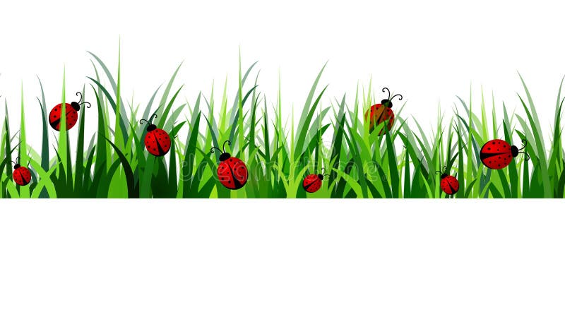 Green Grass seamless royalty free illustration