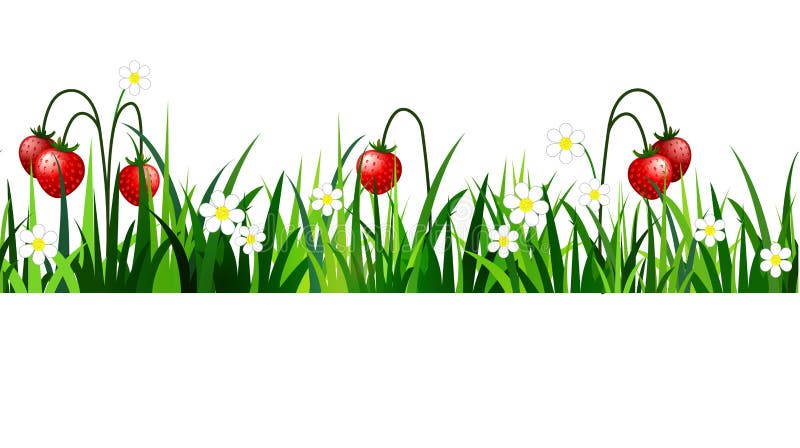 Green Grass seamless royalty free illustration