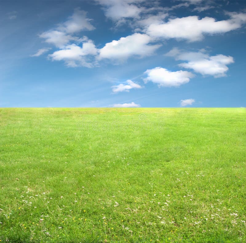 L'erba verde fino all'orizzonte e il cielo azzurro con nuvolette.