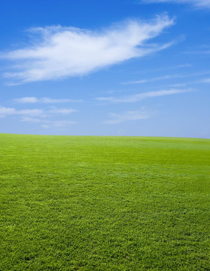 Green Grass and The Sky