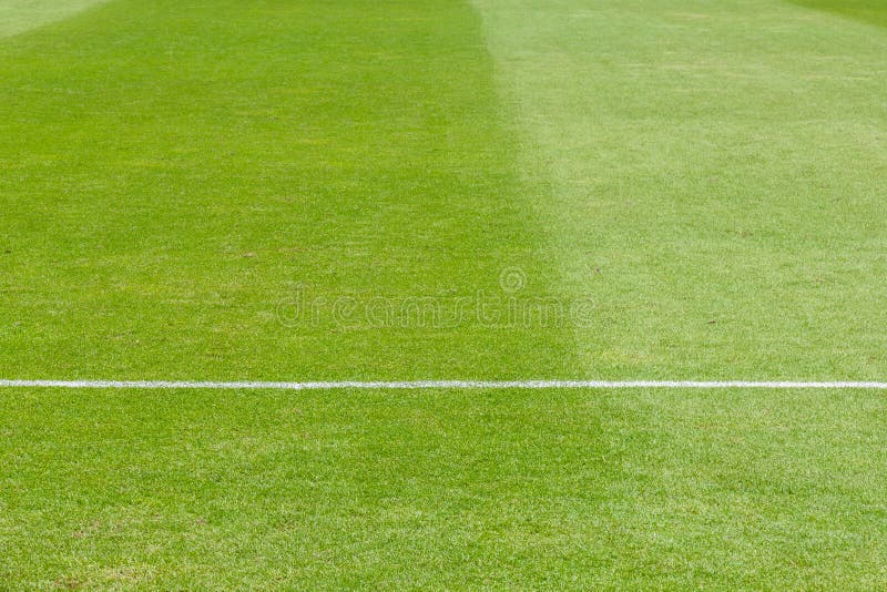 Green grass, soccer (fooball) field.