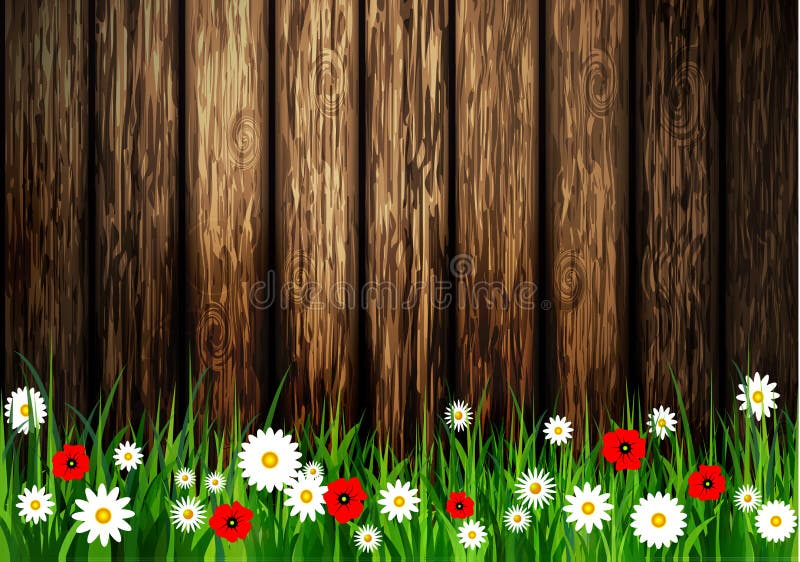 Green grass spring background royalty free illustration