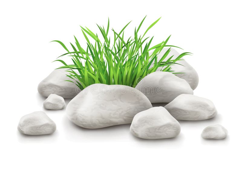 green grass in stones as landscape design element vector illustration green grass in stones as landscape design element vector illustration
