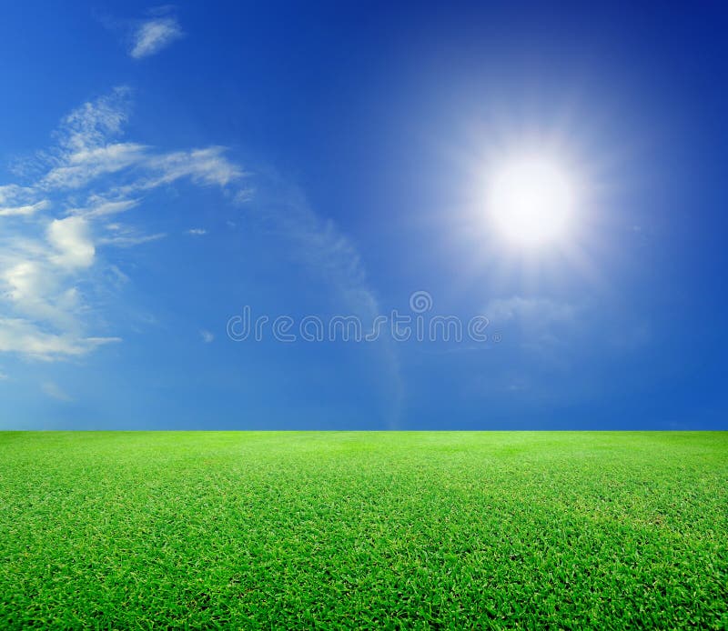 Green grass and sun under blue sky