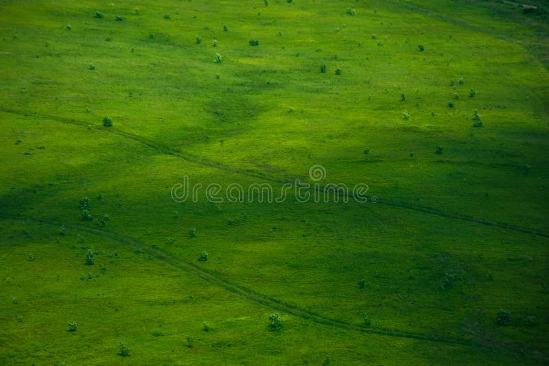 Green grass surface texture. mountain hill in summer