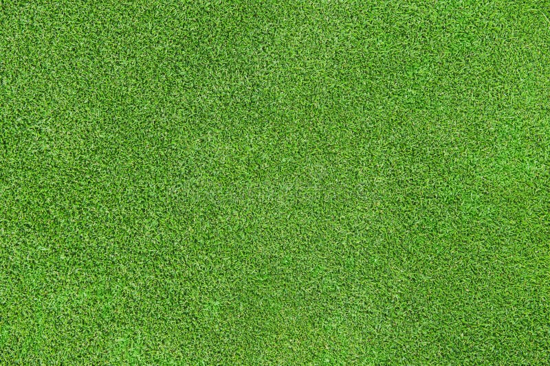 7,864,413 Grass Stock Photos - Free & Royalty-Free Stock Photos from  Dreamstime