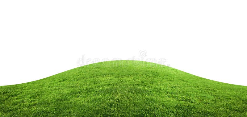 Green grass texture background isolated on white background. stock images