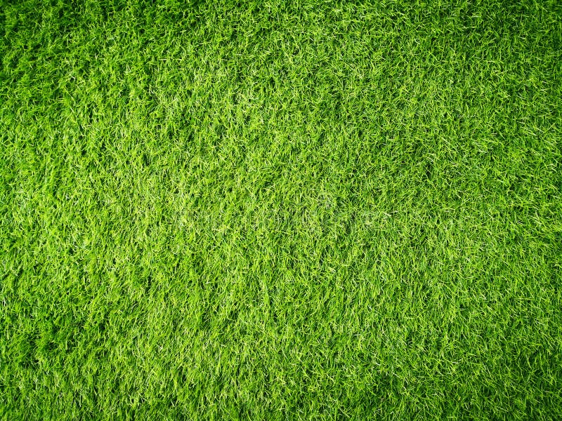 Artificial Green Grass Floor Texture Stock Image - Image of carpet, green:  121373655