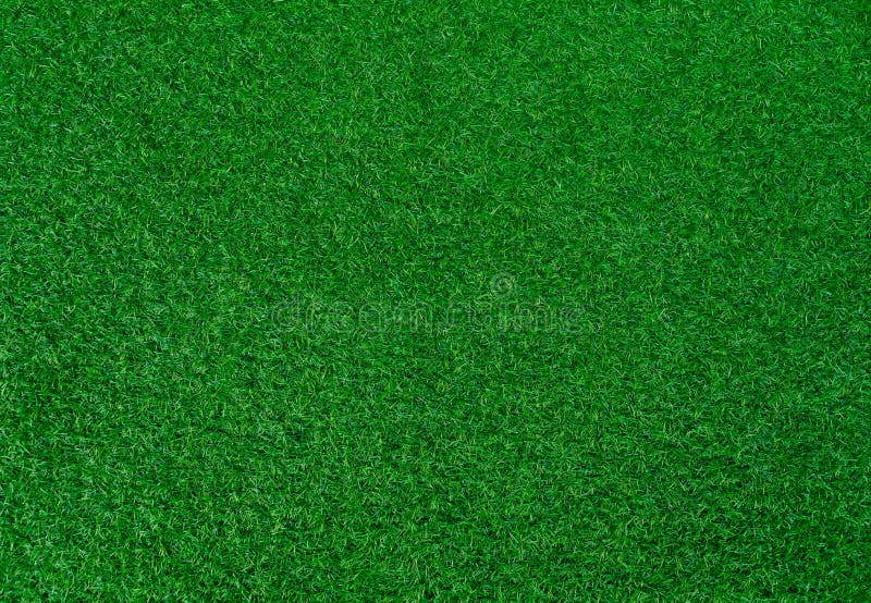 Green Grass Texture Background Top View Of Bright Grass Garden Stock