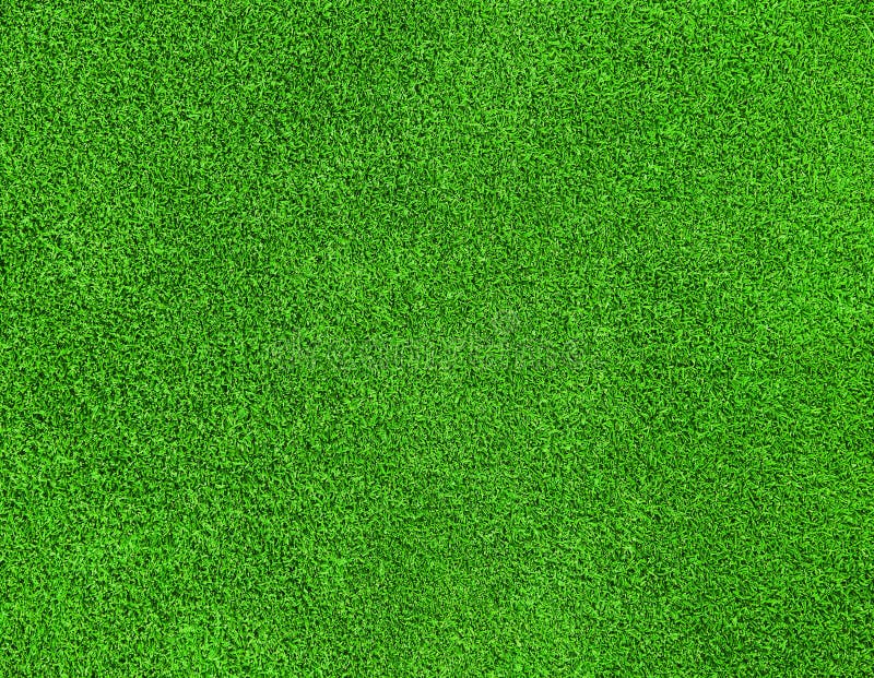 Green grass texture