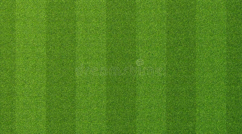 football ground grass