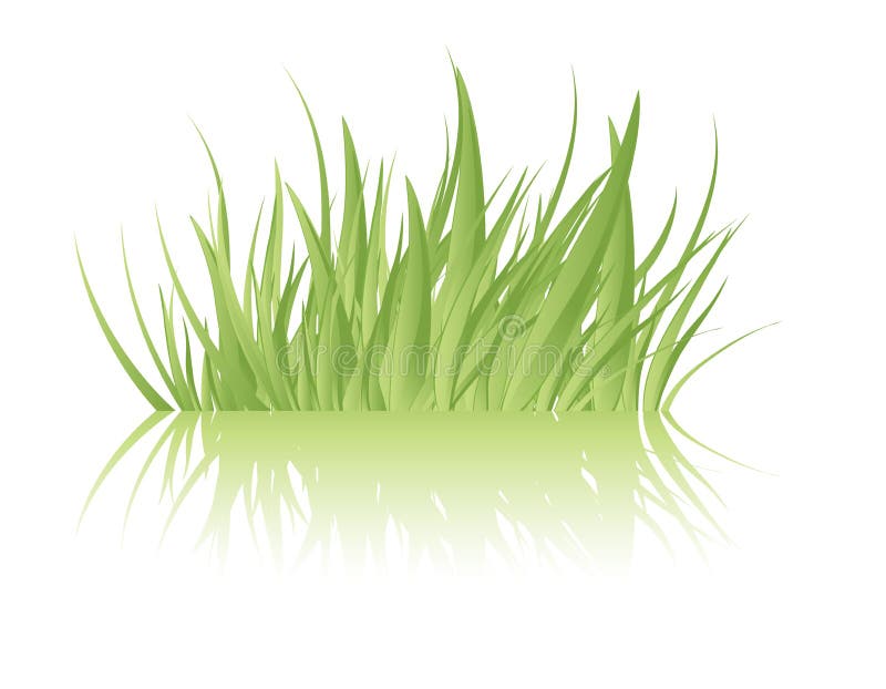 Green grass vector