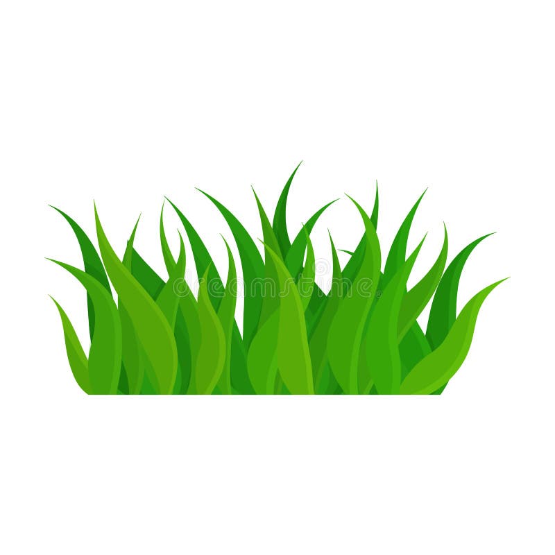 Green Grass Vector  Vector Icon Isolated on White Background  Green Grass. Stock Vector - Illustration of foliage, garden: 178960971