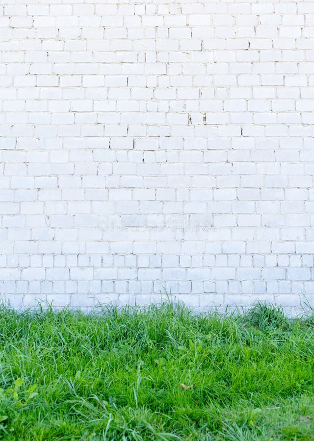 Green Grass and Wall stock photo Green Grass and Wall stock photo