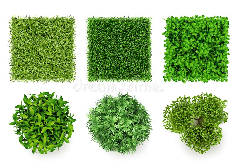 Green ground top view. Eco concept pieces of grass and bushes forest items decent vector realistic plants royalty free illustration