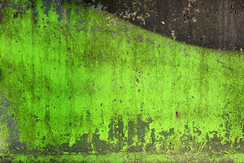 Green grunge background