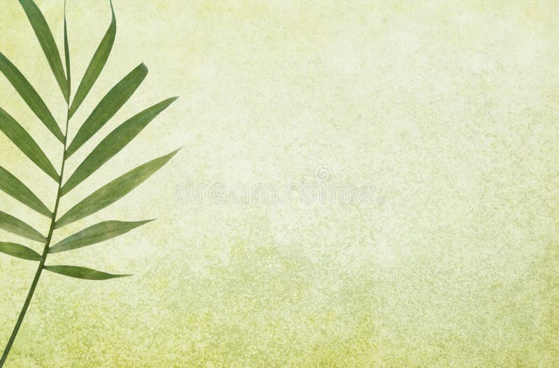 Green Grunge Background with Palm Leaf